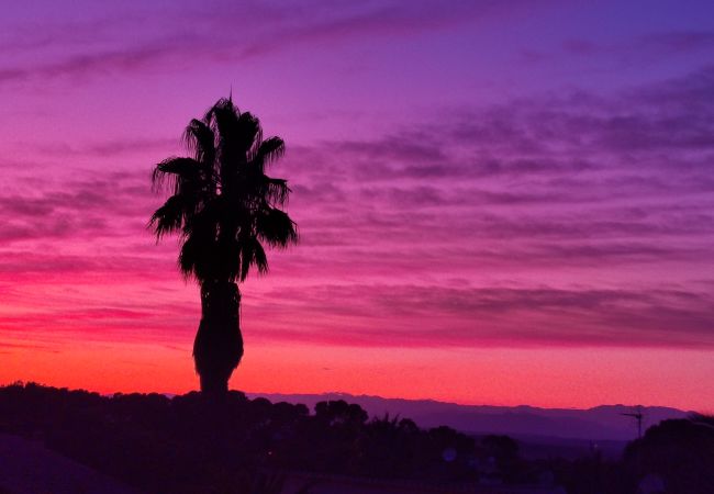 Villa en Pals - Villa Vuelta Villa en Pals - Villa Vuelta