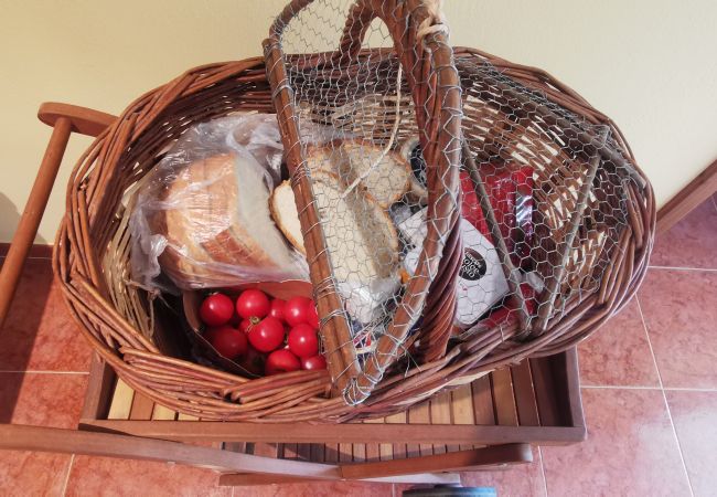 Finca en Mont-ras - Can Salgas Finca en Mont-ras - Can Salgas