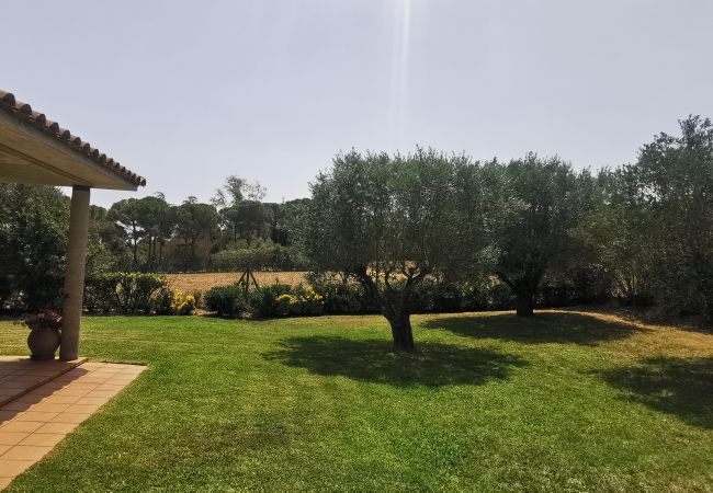 Finca en Mont-ras - Can Salgas Finca en Mont-ras - Can Salgas