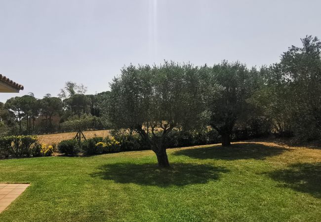 Finca en Mont-ras - Can Salgas Finca en Mont-ras - Can Salgas