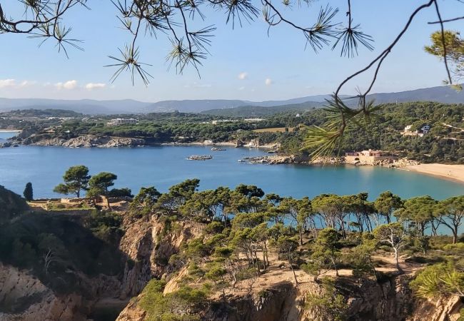 Finca en Mont-ras - Can Salgas Finca en Mont-ras - Can Salgas