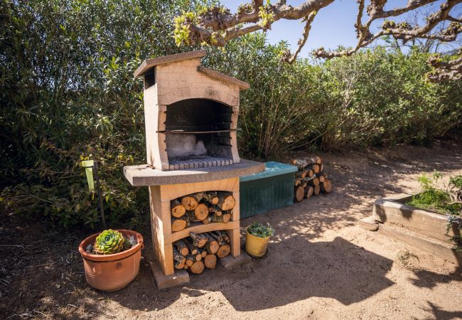 Finca en Mont-ras - Can Salgas Finca en Mont-ras - Can Salgas